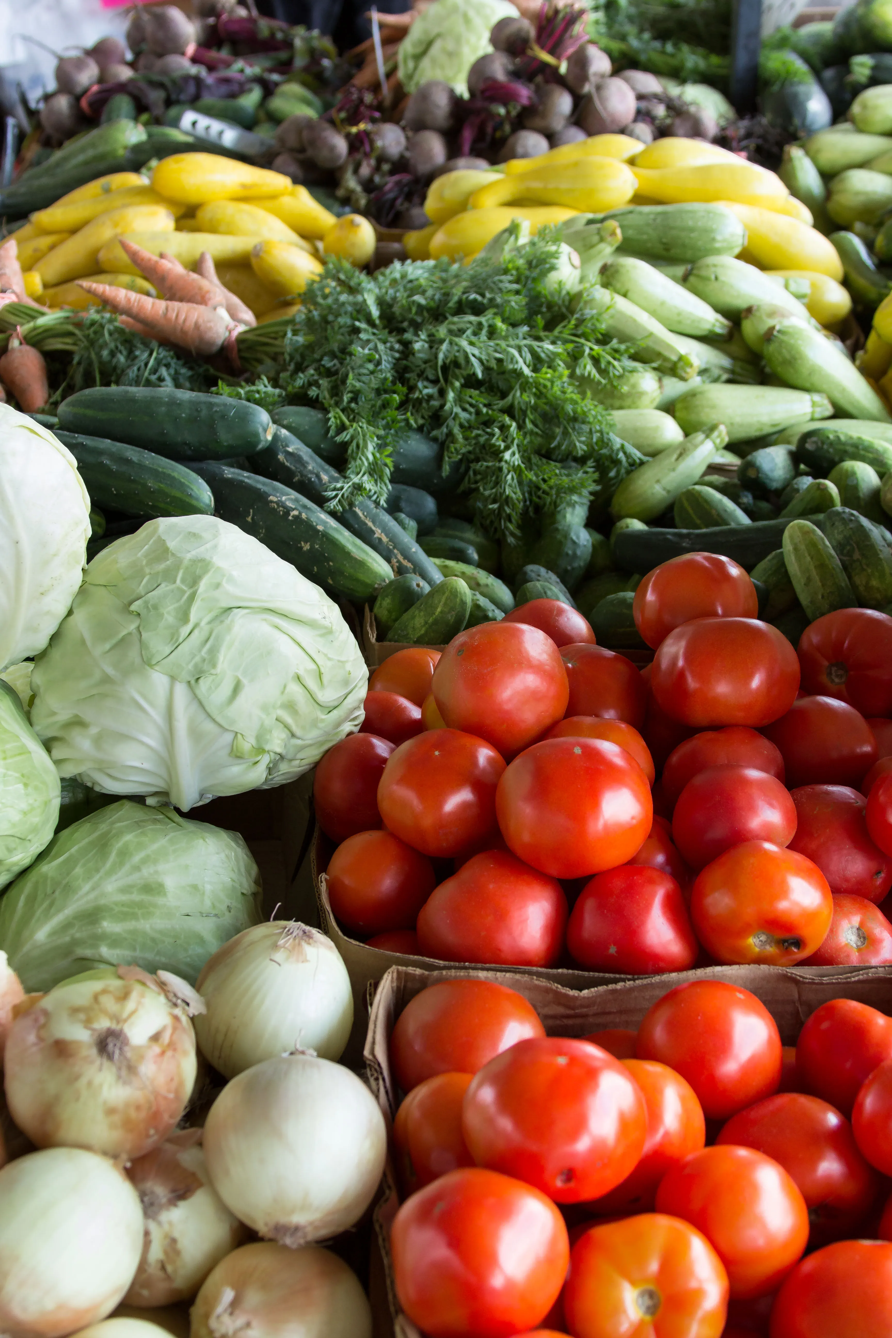 Modern farming — fresh tomato harvest and green farmland
